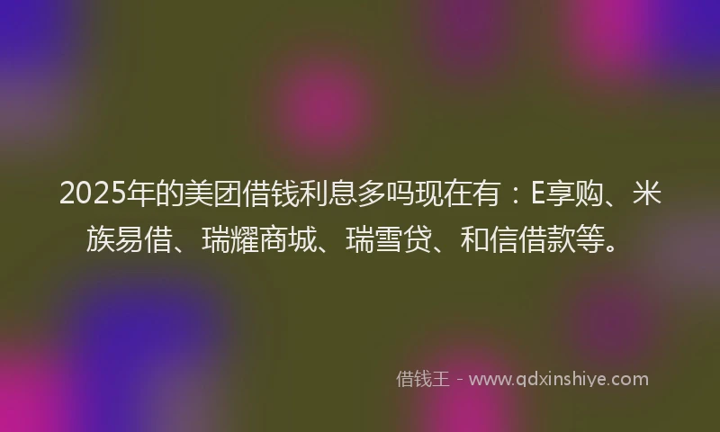 2025年的美团借钱利息多吗现在有：E享购、米族易借、瑞耀商城、瑞雪贷、和信借款等。