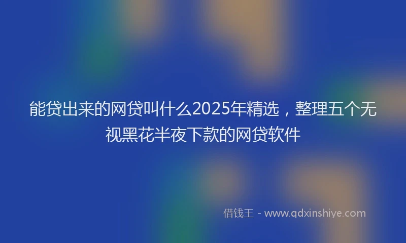 能贷出来的网贷叫什么2025年精选，整理五个无视黑花半夜下款的网贷软件