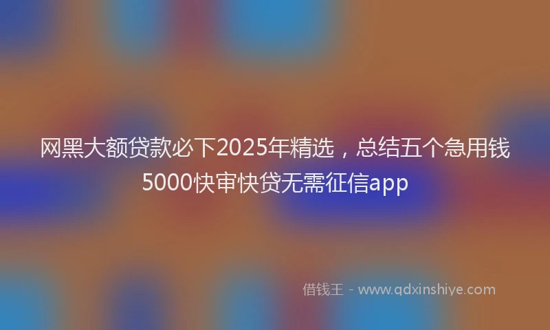 网黑大额贷款必下2025年精选，总结五个急用钱5000快审快贷无需征信app
