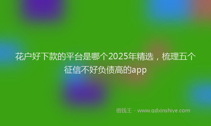 花户好下款的平台是哪个2025年精选，梳理五个征信不好负债高的app