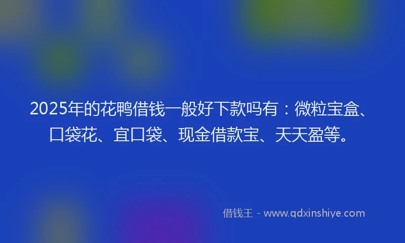 2025年的花鸭借钱一般好下款吗有：微粒宝盒、口袋花、宜口袋、现金借款宝、天天盈等。