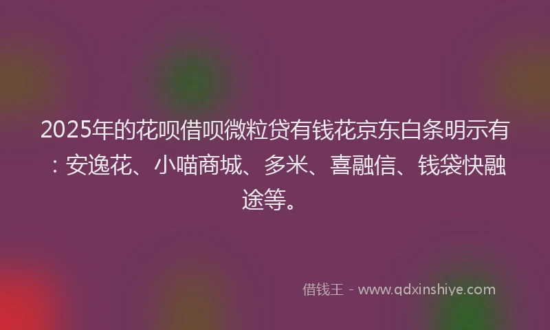 2025年的花呗借呗微粒贷有钱花京东白条明示有：安逸花、小喵商城、多米、喜融信、钱袋快融途等。