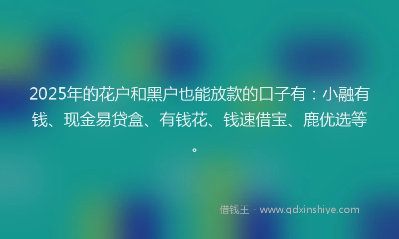 2025年的花户和黑户也能放款的口子有：小融有钱、现金易贷盒、有钱花、钱速借宝、鹿优选等。