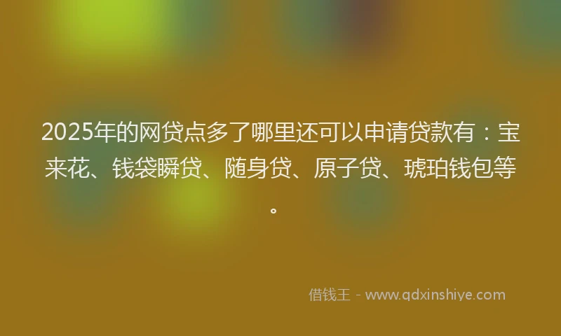 2025年的网贷点多了哪里还可以申请贷款有：宝来花、钱袋瞬贷、随身贷、原子贷、琥珀钱包等。