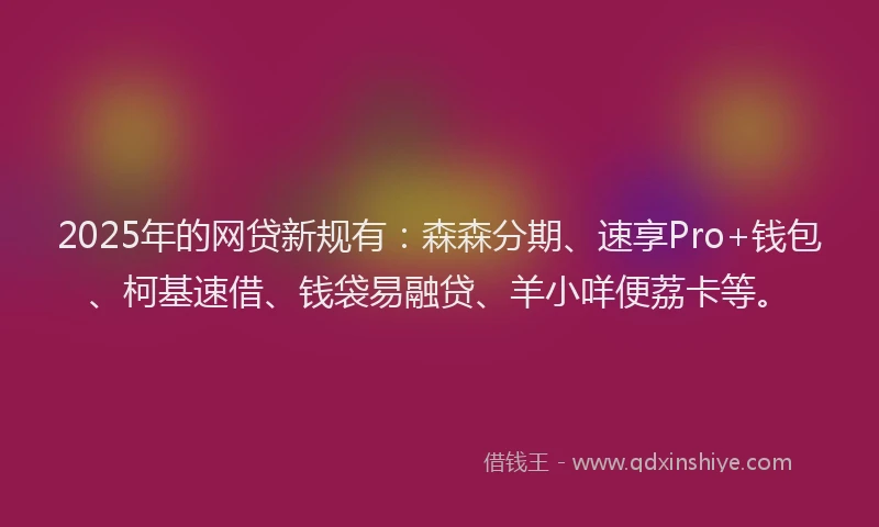 2025年的网贷新规有：森森分期、速享Pro+钱包、柯基速借、钱袋易融贷、羊小咩便荔卡等。