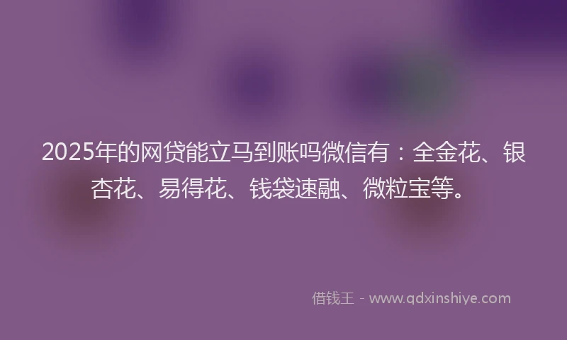 2025年的网贷能立马到账吗微信有：全金花、银杏花、易得花、钱袋速融、微粒宝等。