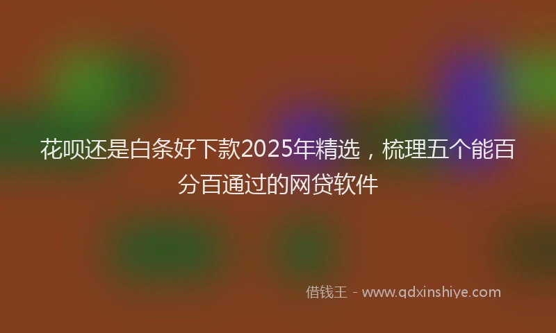 花呗还是白条好下款2025年精选，梳理五个能百分百通过的网贷软件