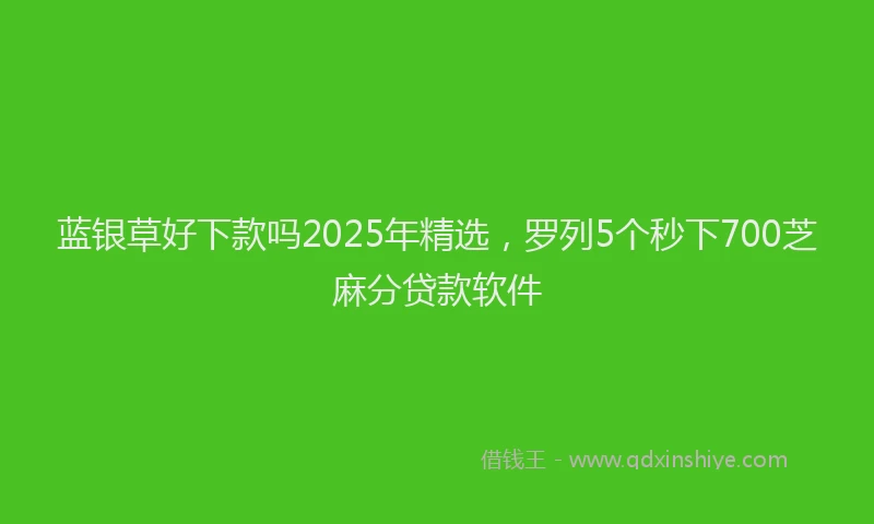 蓝银草好下款吗2025年精选，罗列5个秒下700芝麻分贷款软件