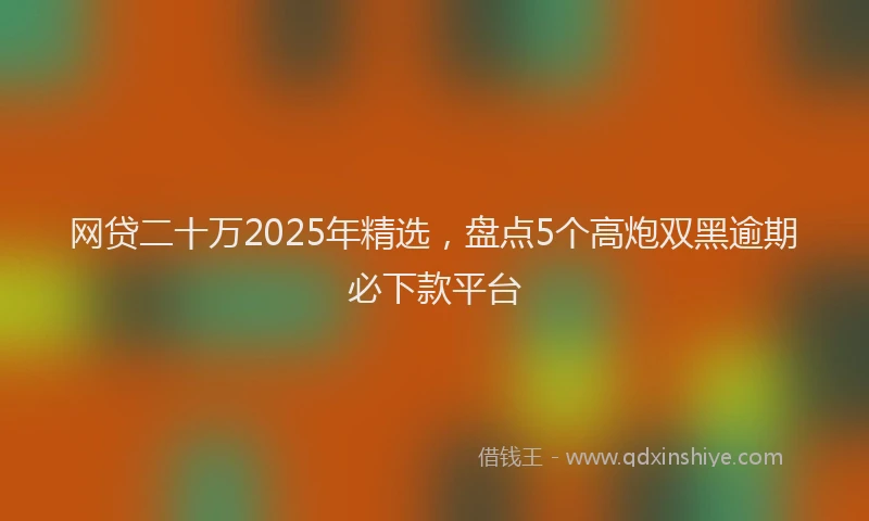 网贷二十万2025年精选，盘点5个高炮双黑逾期必下款平台