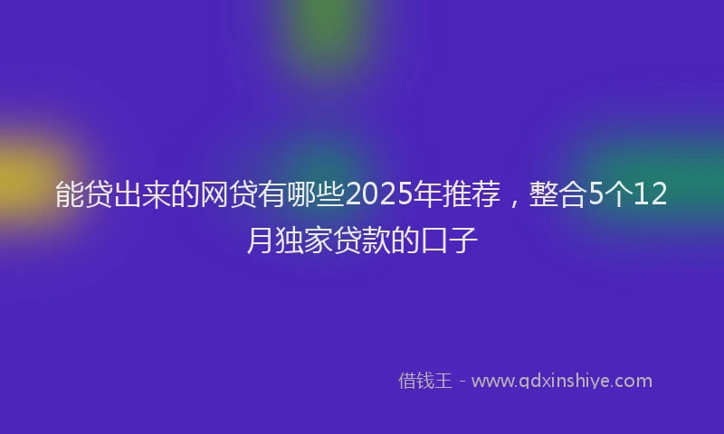 能贷出来的网贷有哪些2025年推荐，整合5个12月独家贷款的口子