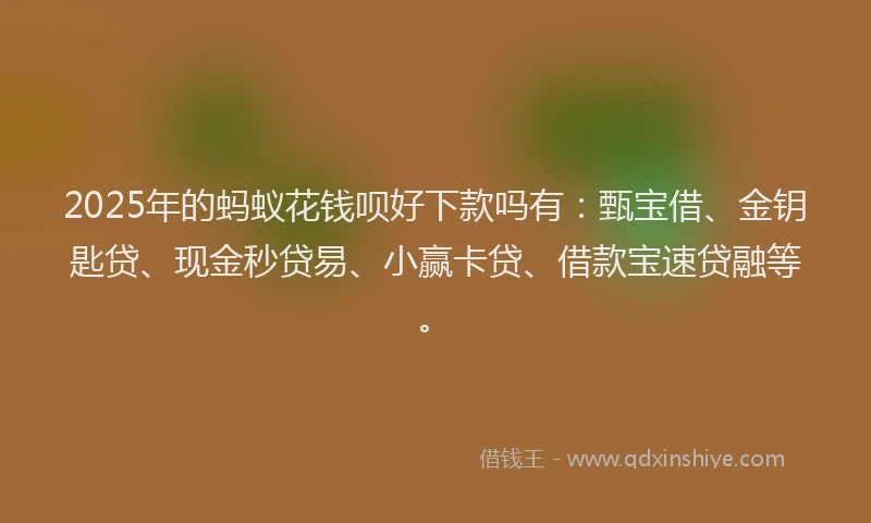2025年的蚂蚁花钱呗好下款吗有：甄宝借、金钥匙贷、现金秒贷易、小赢卡贷、借款宝速贷融等。