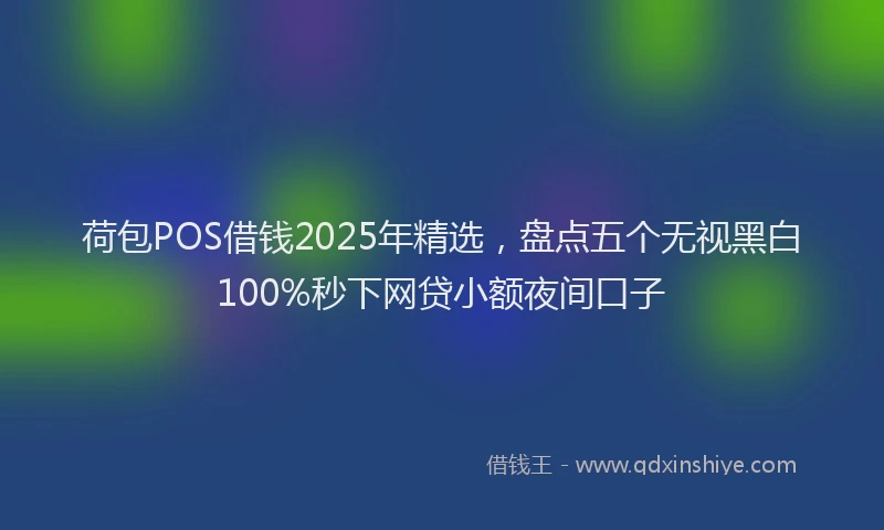 荷包POS借钱2025年精选，盘点五个无视黑白100%秒下网贷小额夜间口子