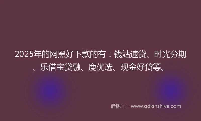 2025年的网黑好下款的有：钱站速贷、时光分期、乐借宝贷融、鹿优选、现金好贷等。