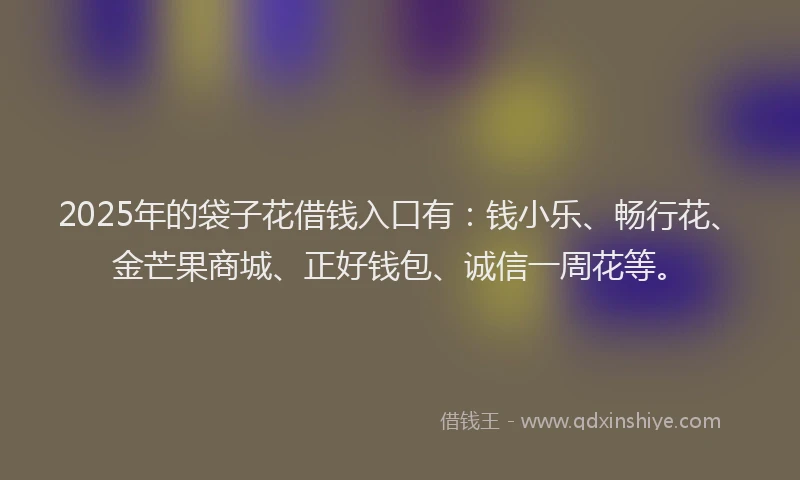 2025年的袋子花借钱入口有：钱小乐、畅行花、金芒果商城、正好钱包、诚信一周花等。