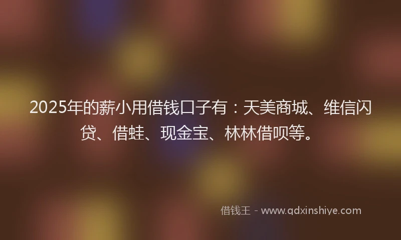 2025年的薪小用借钱口子有：天美商城、维信闪贷、借蛙、现金宝、林林借呗等。
