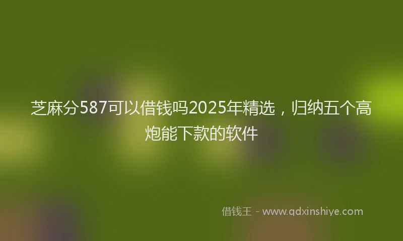 芝麻分587可以借钱吗2025年精选，归纳五个高炮能下款的软件