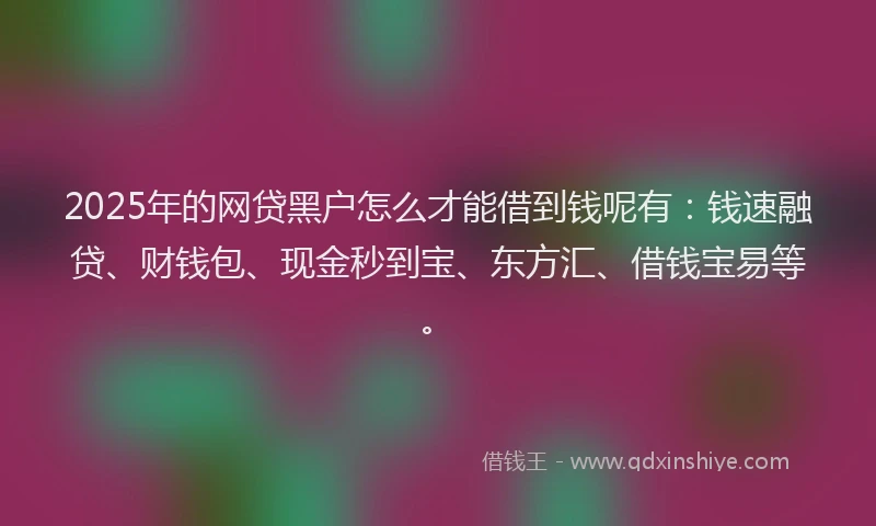 2025年的网贷黑户怎么才能借到钱呢有：钱速融贷、财钱包、现金秒到宝、东方汇、借钱宝易等。