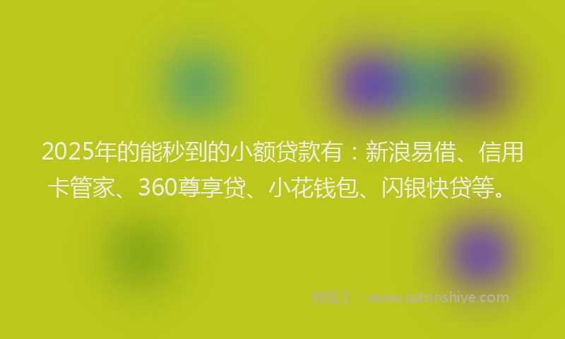 2025年的能秒到的小额贷款有：新浪易借、信用卡管家、360尊享贷、小花钱包、闪银快贷等。