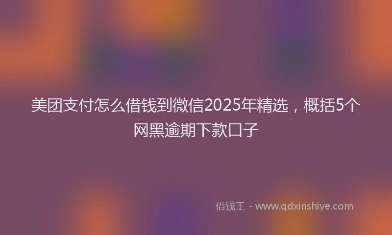 美团支付怎么借钱到微信2025年精选，概括5个网黑逾期下款口子