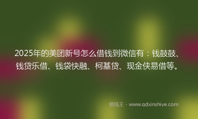 2025年的美团新号怎么借钱到微信有：钱鼓鼓、钱贷乐借、钱袋快融、柯基贷、现金侠易借等。