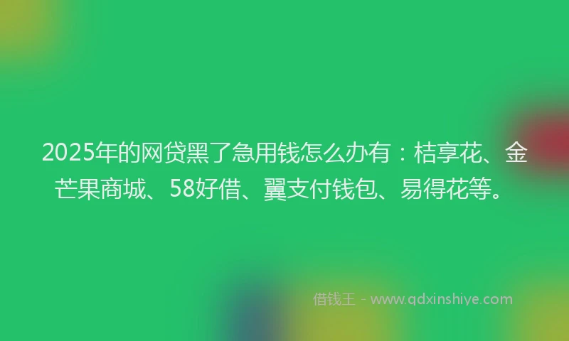 2025年的网贷黑了急用钱怎么办有：桔享花、金芒果商城、58好借、翼支付钱包、易得花等。