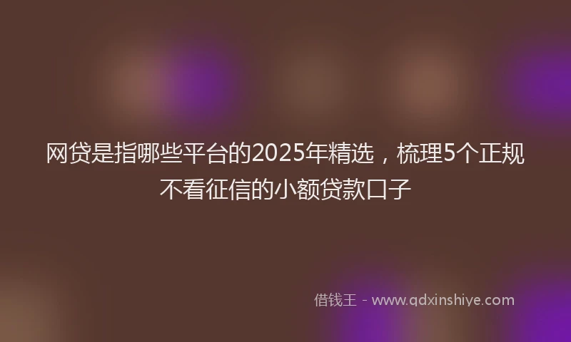 网贷是指哪些平台的2025年精选，梳理5个正规不看征信的小额贷款口子
