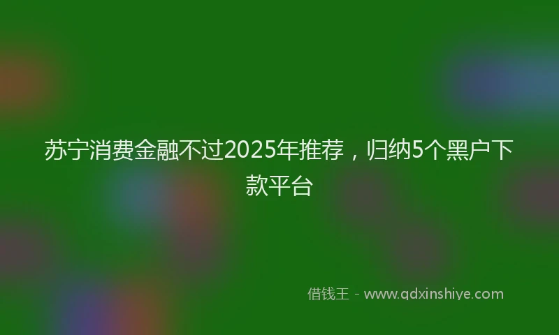 苏宁消费金融不过2025年推荐，归纳5个黑户下款平台
