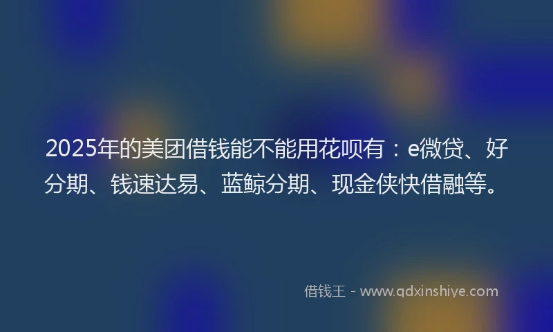 2025年的美团借钱能不能用花呗有：e微贷、好分期、钱速达易、蓝鲸分期、现金侠快借融等。