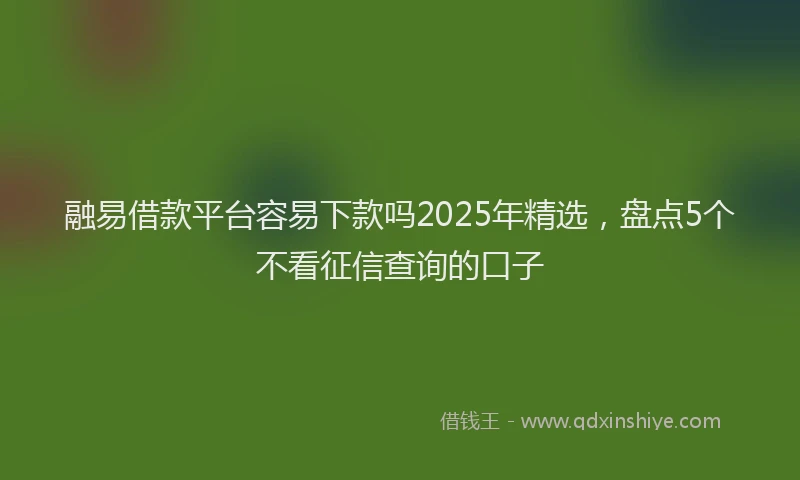 融易借款平台容易下款吗2025年精选，盘点5个不看征信查询的口子