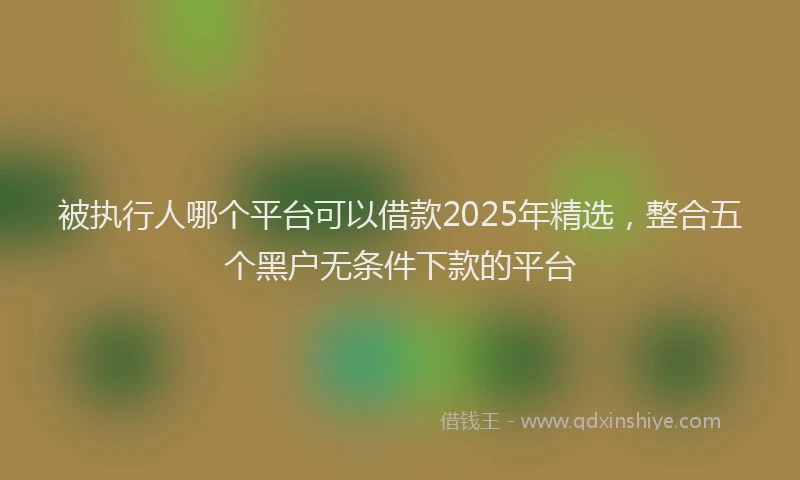 被执行人哪个平台可以借款2025年精选，整合五个黑户无条件下款的平台