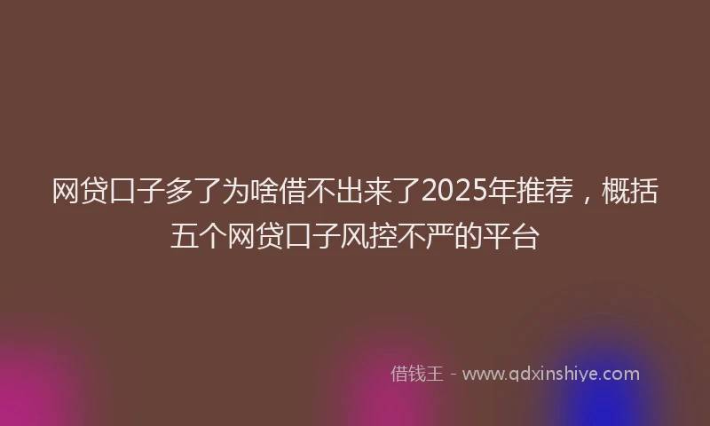 网贷口子多了为啥借不出来了2025年推荐，概括五个网贷口子风控不严的平台