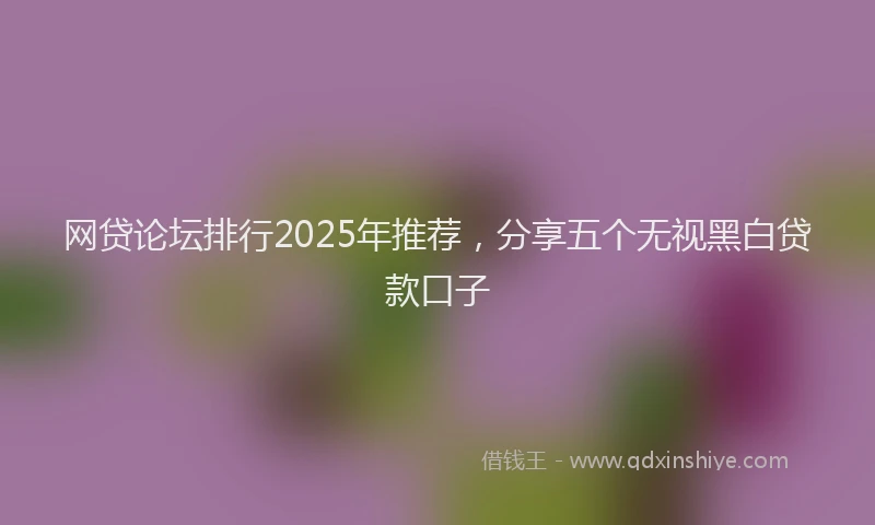 网贷论坛排行2025年推荐，分享五个无视黑白贷款口子