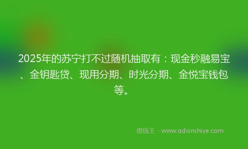 2025年的苏宁打不过随机抽取有：现金秒融易宝、金钥匙贷、现用分期、时光分期、金悦宝钱包等。