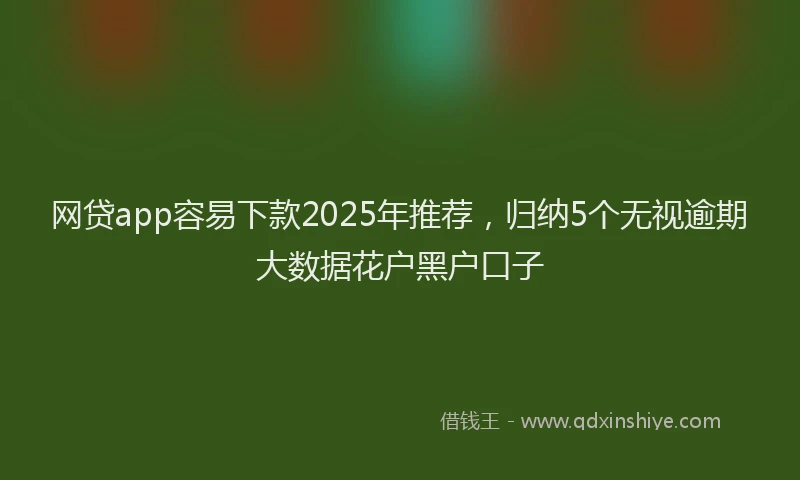 网贷app容易下款2025年推荐，归纳5个无视逾期大数据花户黑户口子