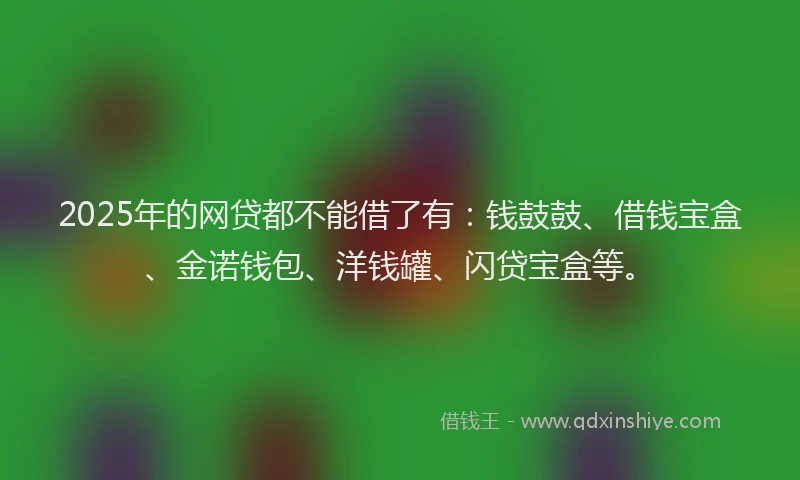2025年的网贷都不能借了有：钱鼓鼓、借钱宝盒、金诺钱包、洋钱罐、闪贷宝盒等。