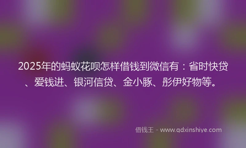 2025年的蚂蚁花呗怎样借钱到微信有：省时快贷、爱钱进、银河信贷、金小豚、彤伊好物等。