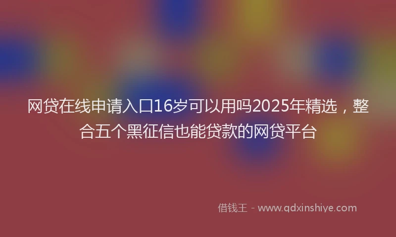 网贷在线申请入口16岁可以用吗2025年精选，整合五个黑征信也能贷款的网贷平台