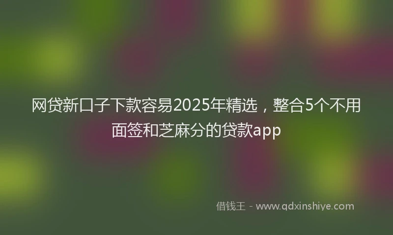 网贷新口子下款容易2025年精选，整合5个不用面签和芝麻分的贷款app