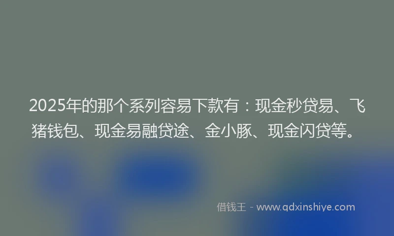 2025年的那个系列容易下款有：现金秒贷易、飞猪钱包、现金易融贷途、金小豚、现金闪贷等。
