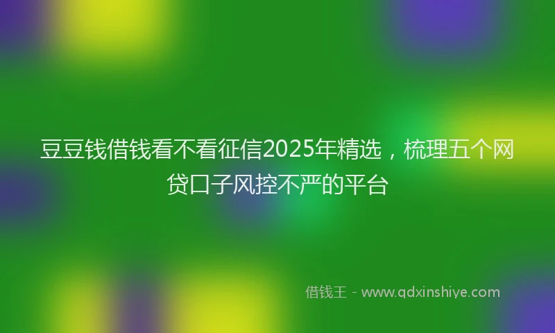 豆豆钱借钱看不看征信2025年精选，梳理五个网贷口子风控不严的平台