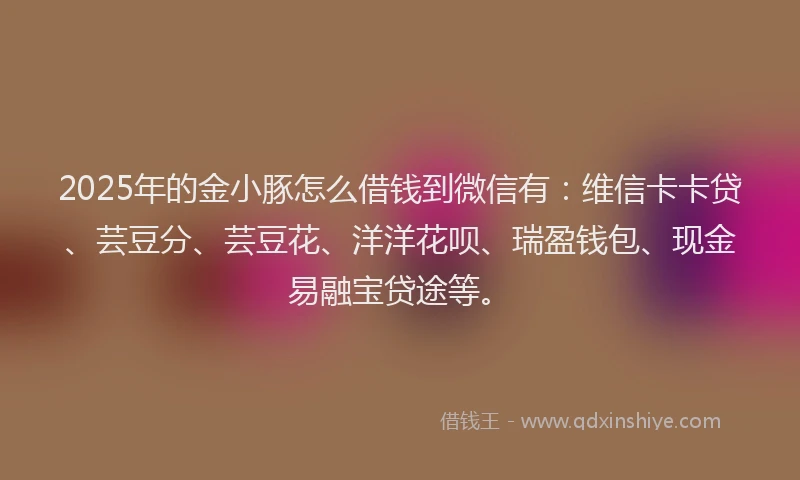 2025年的金小豚怎么借钱到微信有：维信卡卡贷、芸豆分、芸豆花、洋洋花呗、瑞盈钱包、现金易融宝贷途等。