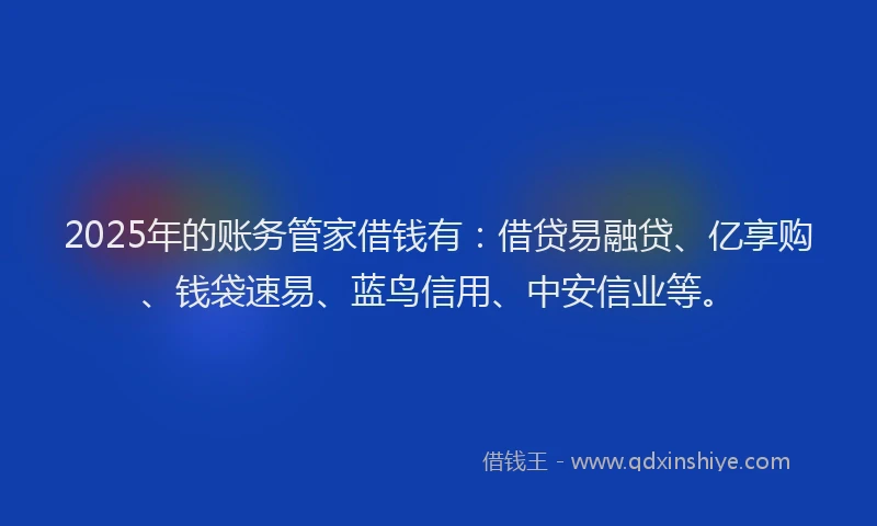 2025年的账务管家借钱有：借贷易融贷、亿享购、钱袋速易、蓝鸟信用、中安信业等。
