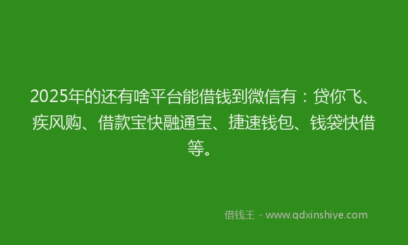 2025年的还有啥平台能借钱到微信有：贷你飞、疾风购、借款宝快融通宝、捷速钱包、钱袋快借等。