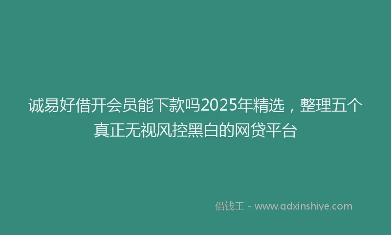诚易好借开会员能下款吗2025年精选，整理五个真正无视风控黑白的网贷平台