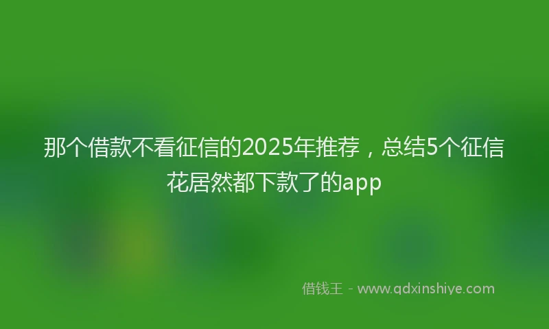 那个借款不看征信的2025年推荐，总结5个征信花居然都下款了的app