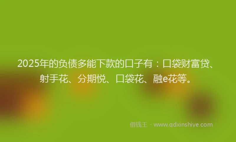 2025年的负债多能下款的口子有：口袋财富贷、射手花、分期悦、口袋花、融e花等。
