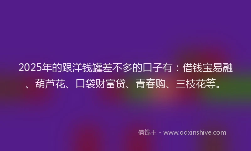 2025年的跟洋钱罐差不多的口子有：借钱宝易融、葫芦花、口袋财富贷、青春购、三枝花等。