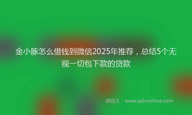 金小豚怎么借钱到微信2025年推荐，总结5个无视一切包下款的贷款
