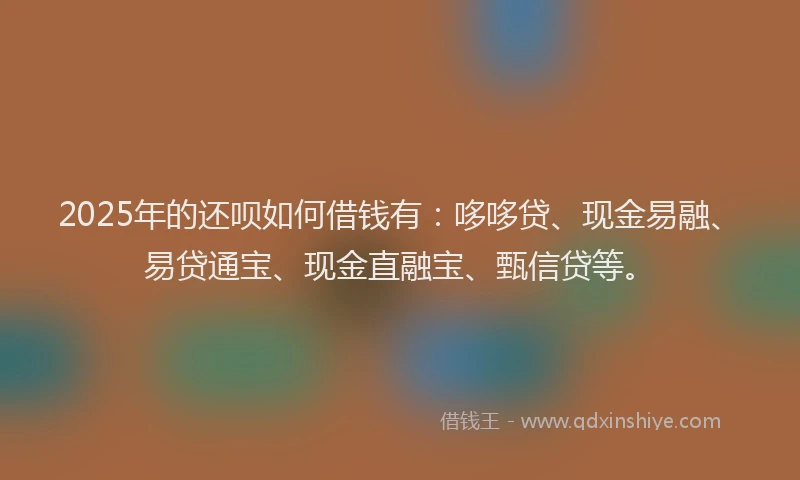 2025年的还呗如何借钱有：哆哆贷、现金易融、易贷通宝、现金直融宝、甄信贷等。