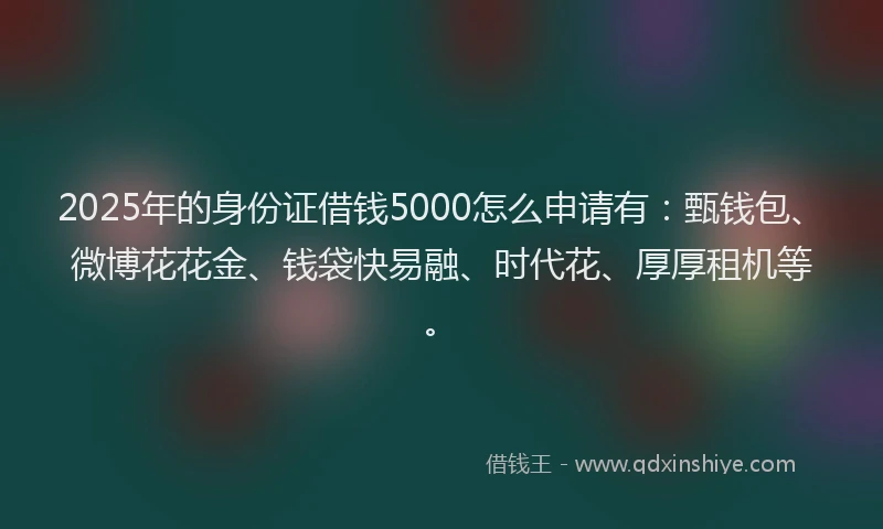 2025年的身份证借钱5000怎么申请有：甄钱包、微博花花金、钱袋快易融、时代花、厚厚租机等。